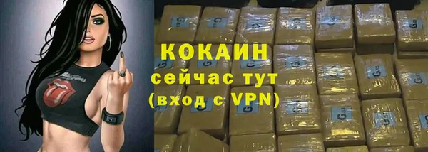 дмт Краснослободск