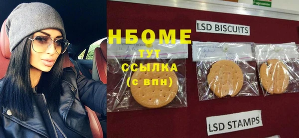 дмт Краснослободск