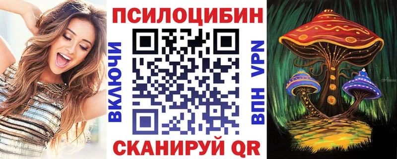 Галлюциногенные грибы Psilocybe  мега как войти  Южно-Сухокумск  сколько стоит 